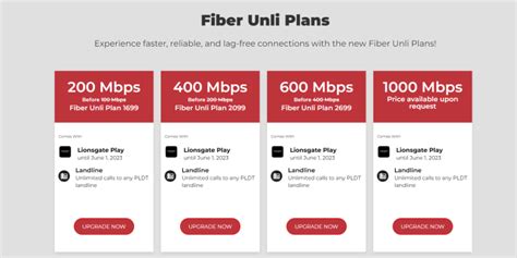 short term high speed internet manila|Red Fiber offers new flexible internet plans for as low as P45.
